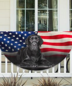 Black Labrador Retriever American Non-Pleated Fan Flag TQN2628FL